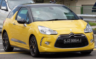  DS 3 (안면 성형 I) 2010-2014